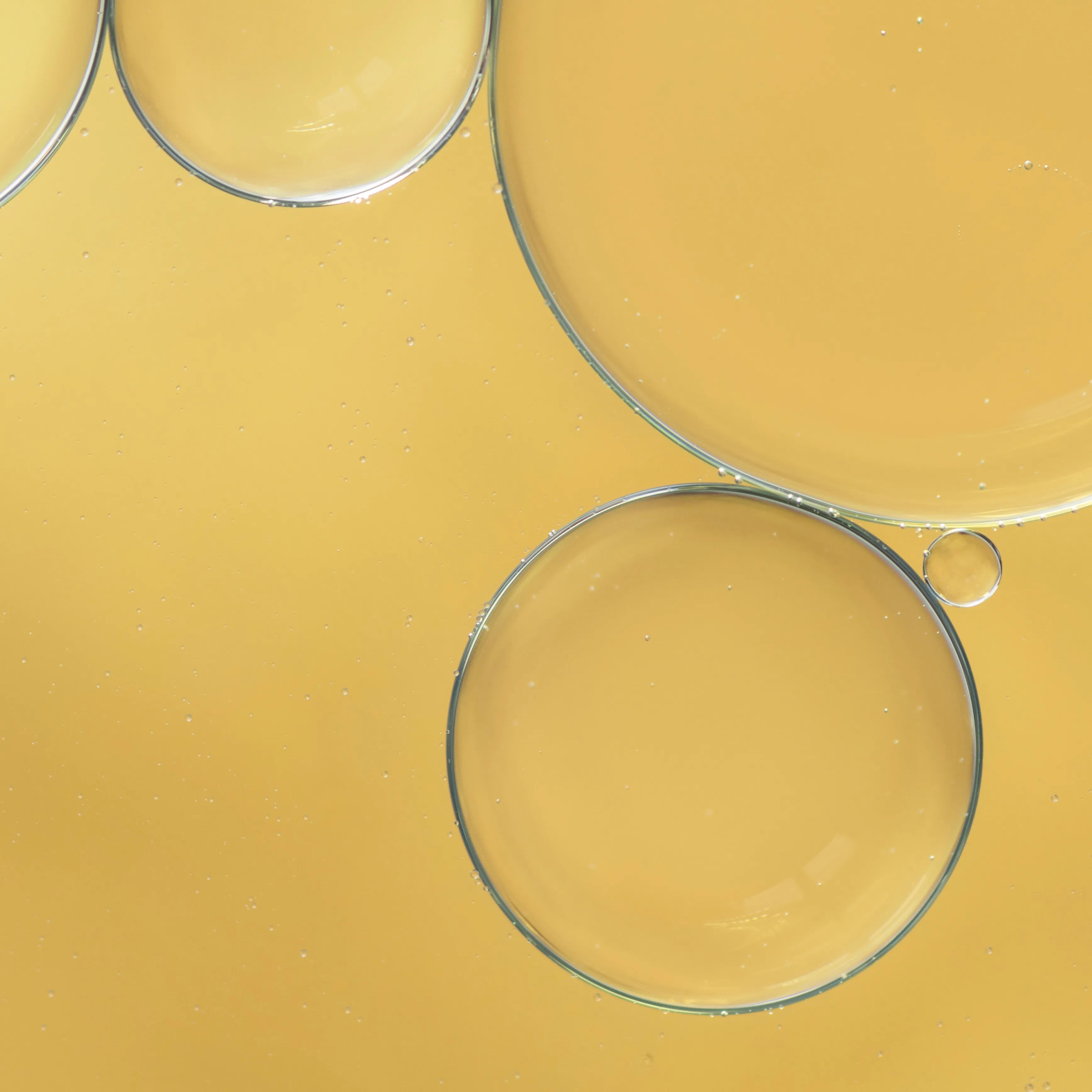 ingredient18.webp
