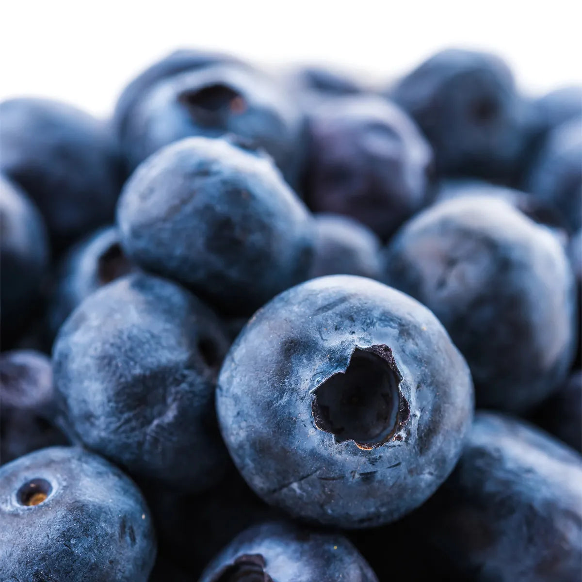 ingredient25.webp