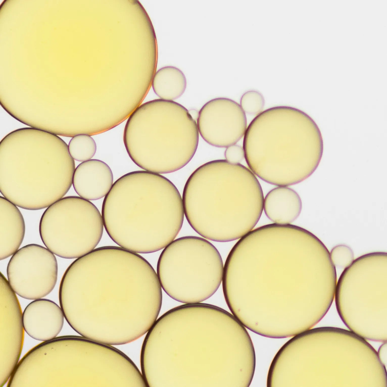 ingredient6.webp