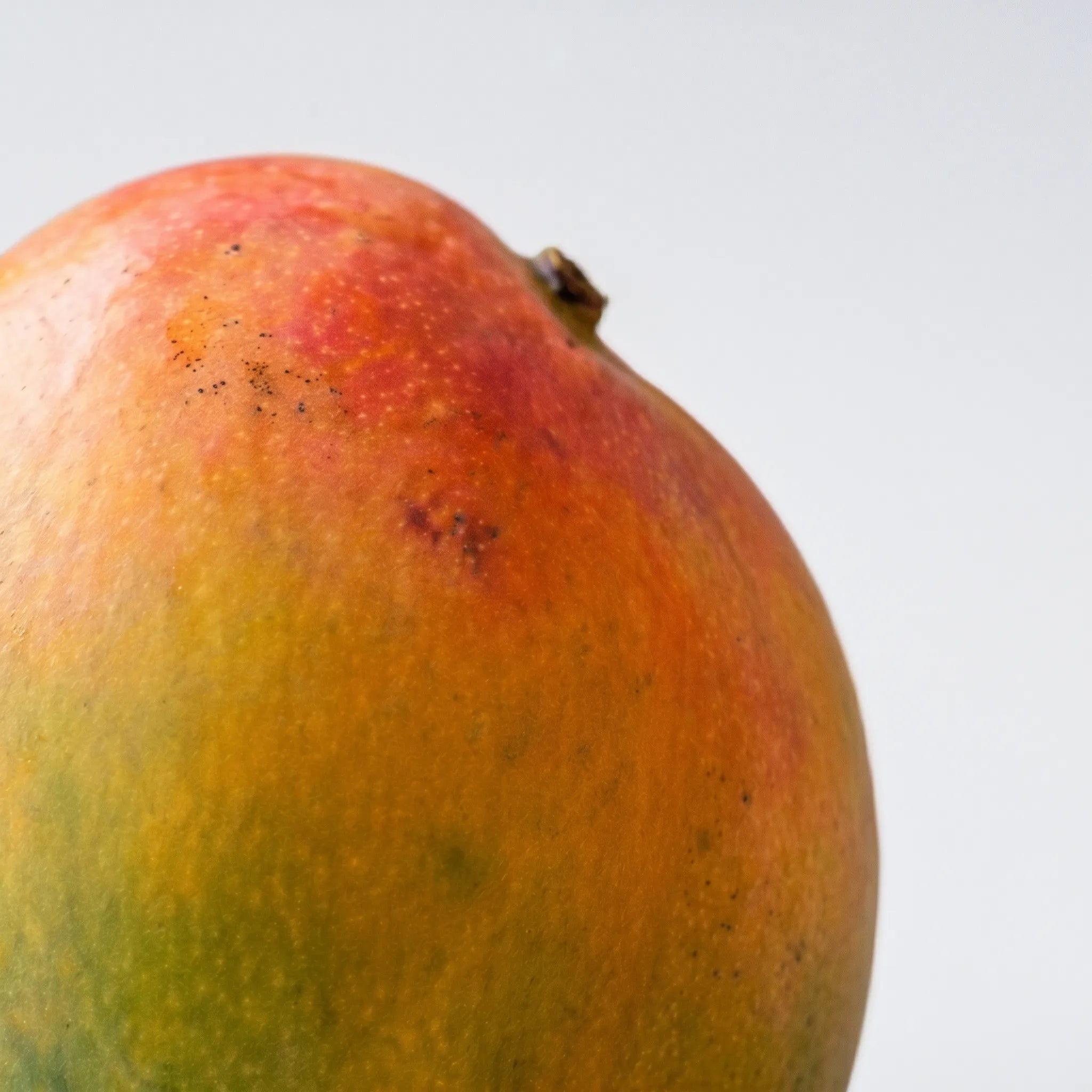 ingredients9.webp